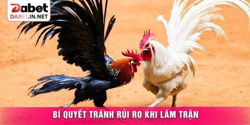 Bí quyết tránh rủi ro khi lâm trận