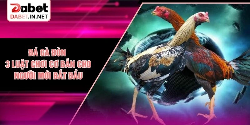 Đá Gà Đòn - 3 Luật Chơi Cơ Bản Cho Người Mới Bắt Đầu