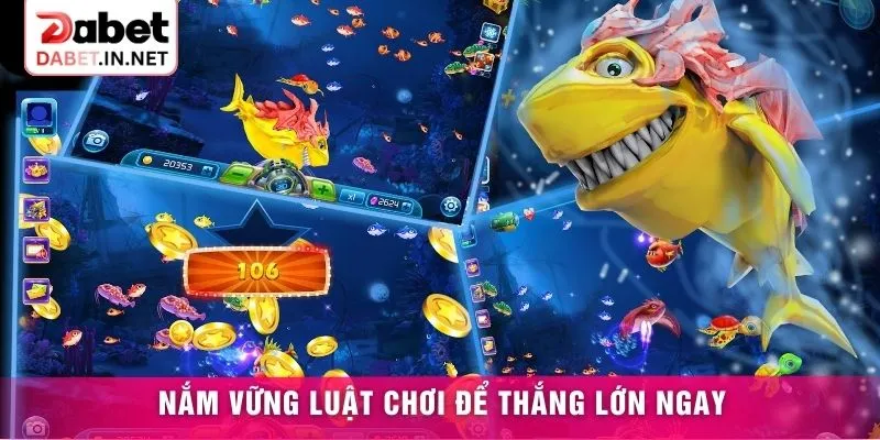 Nắm vững luật chơi để thắng lớn ngay