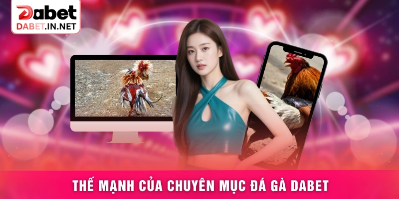 Thế mạnh của chuyên mục đá gà DABET